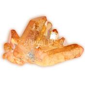 Tangerine Aura Clusters 