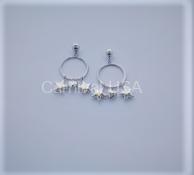 Sterling Silver Heart/Star Earrings