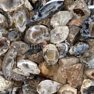 Agate Geodes Tumbled