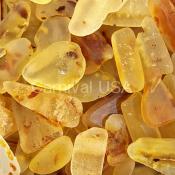 Tumbled-(Semi- Polished) Amber