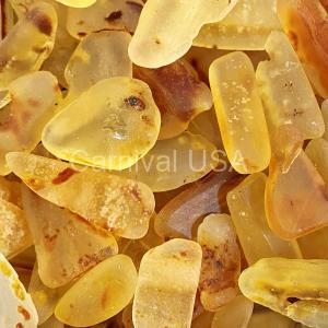 Tumbled-(Semi- Polished) Amber