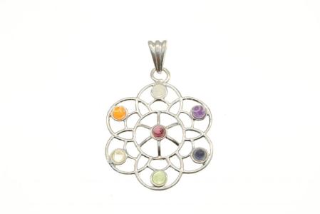 Silver Plated Chakra/Egg Of Life Pendant