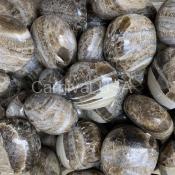 Aragonite Tumbled Stones