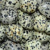 Dalmatian Jasper Tumbled Stones