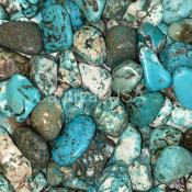 Howlite/Turquoise Dyed Tumbled Stones
