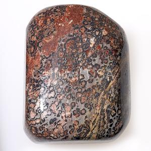 Leopard Skin Jasper Palm Stone