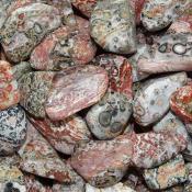 Leopard Skin Jasper Tumbled Stones