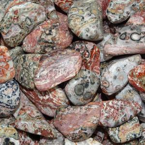 Leopard Skin Jasper Tumbled Stones