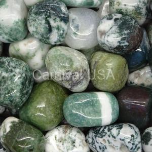 Tree Agate Tumbled Stones