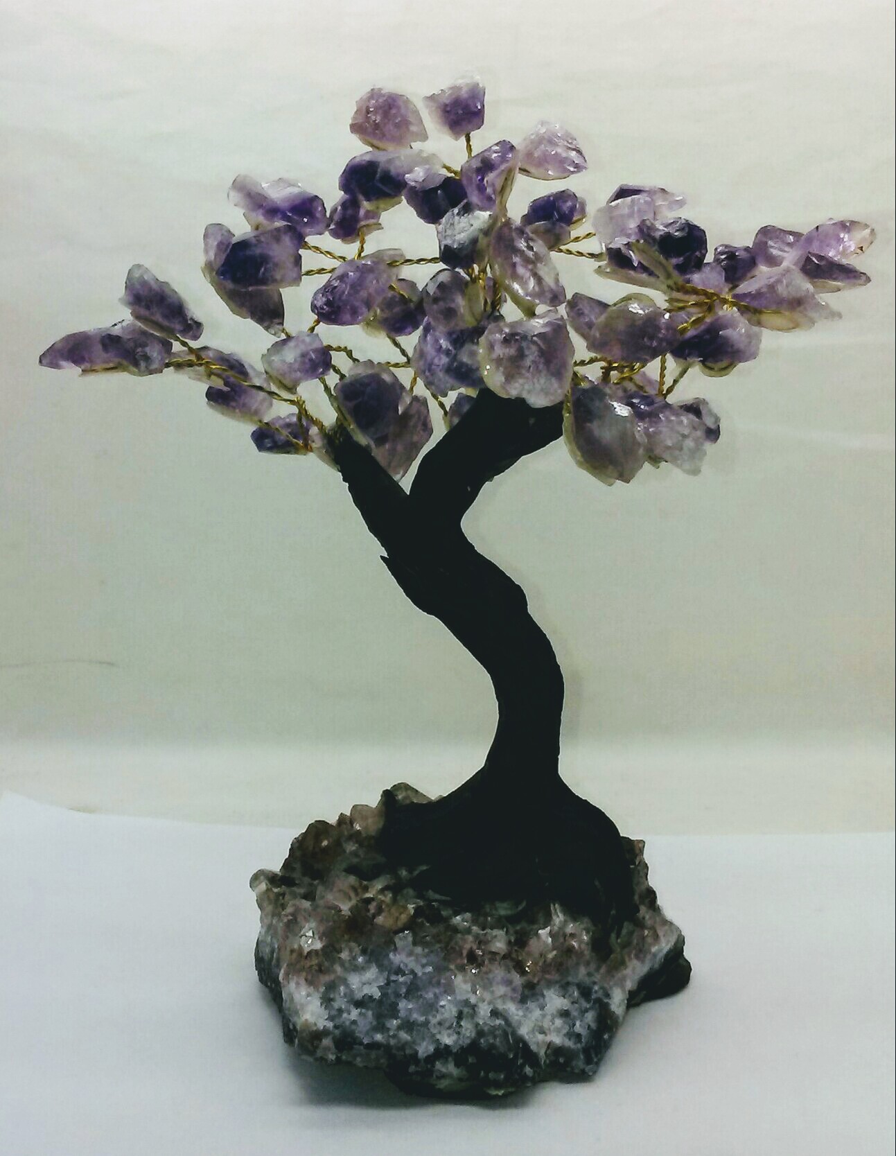 plant flower seeds indoors Complete Indoor Growing Seed Starting Kit with Annual Flower Seeds –  Ferry-Morse main image 0